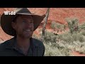 ULURU: Australia's MOST FAMOUS rock | WIDE