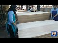 Proses pembuatan plywood export part 16 | Cek kualitas plywood export berbahan baku kayu meranti