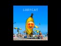 BANANA CAT 🍌🐱 HAPPY AND 😿 CRY ( 10 MINUTES ) VIDEOS 33 #catmemes #cat #bananacat #happycat #fyp