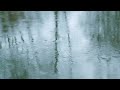 Sad Classical Music with Rain: Beautiful French Cello Melodies