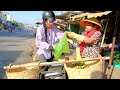 Harvesting longan Go To Market Sell - Building a Bamboo House, Farm, Daily Life | Tieu Duong