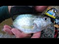 Bridge Fishing #4:  Strawbridge Lake Fall Crappies