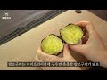 How to bake sweet potatoes deliciously (sweet potato promotional video)