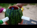 Experiment: Watermelon vs Mentos and Pepsi!