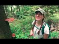 Massive Reishi Mushroom In The Smoky Mountains National Park! #mushroom