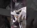 Hoof Trimming #horseshoeing #farrier #hooves #newshoes #getready #farrierlife #hooftrimming #youtube