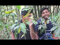Bangla Most Funny Video।বাঁশ বাগানে হাগা   নতুন হাসির নাটক। New Funny Content Video@Dada_Comeddy_Tm