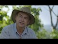 Estudio sobre la biodiversidad de Gorongosa | Video HHMI BioInteractive