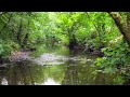 Dripsey Castle Estate, Carrignamuck, Dripsey, Co. Cork