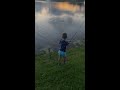 Alligator charges from water to steal Florida boy's fish in viral sneak attack
