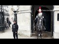 King Ormonde Keeps Attacking People. Epic Moments Horse Guards