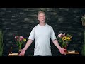 8-Minute Qi Gong Routine for Upper Back, Neck, and Shoulders | Tension Relief Qi Gong