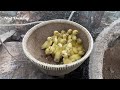 Amazing 20 Yellow Duckling From a Lot Eggs - New Baby Duck Born From Eggs
