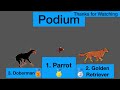 Speed Comparison | Popular Family Pets (Race Simulation)