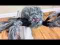 Gray Jumping Spider Animatronic 2024 Spirit Halloween Unboxing & Demo