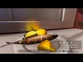 Finally, Some Real Food [Northernlion Tries Cooking Simulator] (Twitch VOD)