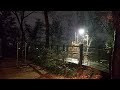 The sound of rain falling in the forest at night(7 hours) Lullaby asmr 20 minutes later black screen