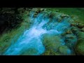 Calming River Sounds for Deep Sleep 🌙 | Tranquil Nature Ambience