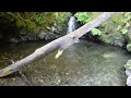 Waterfall under the High Steel Bridge