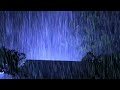 Sleep in just 3 minutes with harmony of rain and thunder at night & gentle backdrop of bird song.