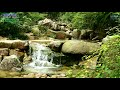 자연의 소리 (Sounds of nature)- 계곡의 물소리, 새소리 (3시간)