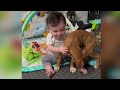 Funniest Babies Doing Cute Things Will Make You Fall In Luv #5 |We Laugh