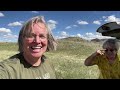 HUGE Petrified LOGS: Rockhounding in Wyoming