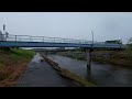 4K Stroll Along Itonuki River During Heavy Rain | Hydrangeas in Bloom | Gifu, Japan