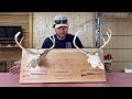 Very Cool Story Behind This Custom Deer Mount