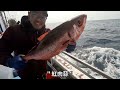 搭船去釣魚臺 跟 日本海域釣魚！一隻比一隻稀有珍貴-深海怪鳥、石斑、大白龍