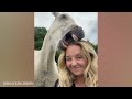 The Funniest Moments With Horses