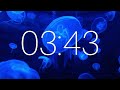 20 Minute Timer with Ambient Music and Jellifish