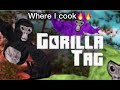 Gorilla tag is better