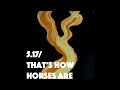 Thom Yorke - That's How Horses Are