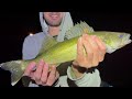 Use THESE 3 Presentations For Walleyes RIGHT NOW!