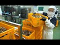Awesome! korea's clean and systematic beef rib soup mass production / korean meat factory