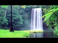 [4K] Musique Douce : Relaxante, Calme - Nature Relaxation chute d'eau