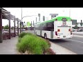 Dysons Bus #815 - HIGH SPEED