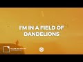 Ruth B. - Dandelions  (Lyrics) | 8D Audio 🎧