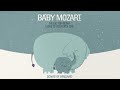 Baby Classical ✨ MOZART FOR BABIES✨ Piano Music for Babies