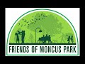 Moncus park concert shots