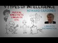 The “9 Intelligences” and Fluid vs Crystallized - Can you Improve Intelligence?