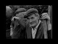 Fresh Tarring or Loose Chippings, Co. Cork, Ireland 1974