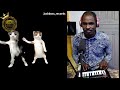 CAT VIBES X HELLO AND HI X JOSHBOSS_RECORDS MUSIC @TheKiffness