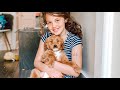 Mini Goldendoodle - Dog Breed Information | Dogs 101 - The Miniature-size Goldendoodle