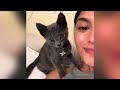 Miracle kitten survives 600 MILE road trip in ENGINE COMPARTMENT!🚙⛰️🐈‍⬛ #viral #cat #kitten #cute