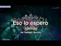 [SUB ESPAÑOL] Vneld - Starlight Garden | + letra y pronunciación