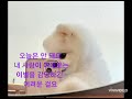 그런일은 ~ 박화요비 커버