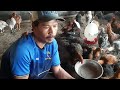 AYAM UMUR 67 HARI UDAH BERAT 1,2_1,8 Kg#