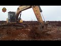 Amazing Powerful Stump Removal Excavator At Another Level, Fastest Stump Removal Grinding Machines